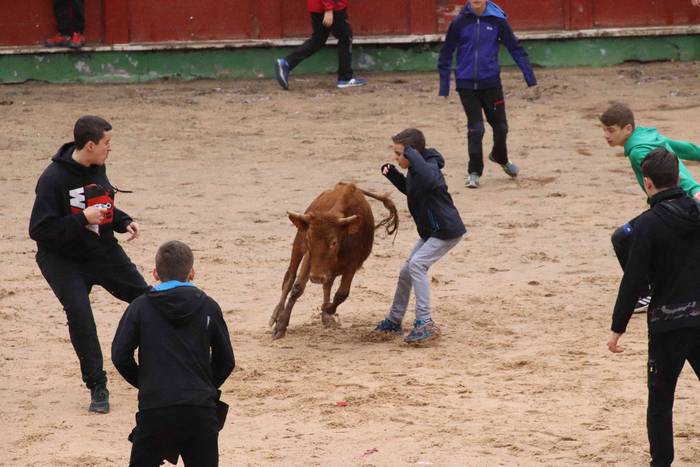 Txikienak zezen txikien aurr 3 1552240863649