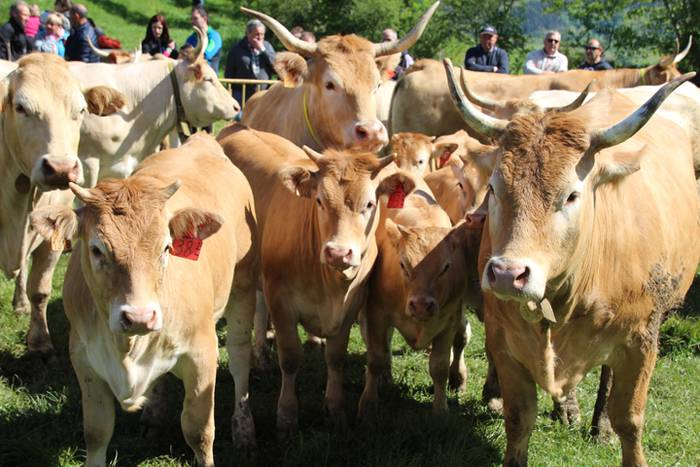 Larre irekiera Larraitzen 20 51 1493639966626