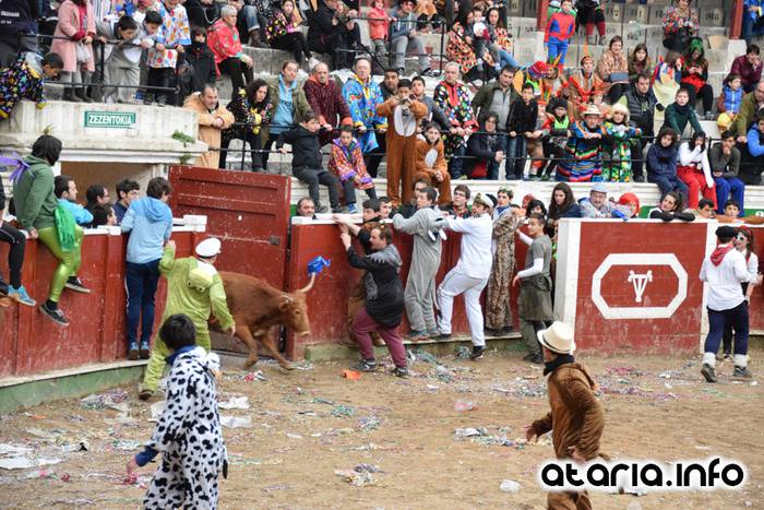 Pattar zezena 2016 33 1455012394582