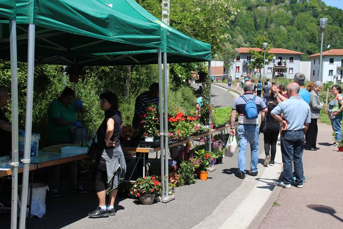 IV. azoka ekologikoa Alegian 1 1494162798636