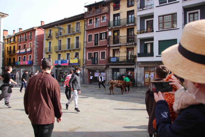 Soka zintzilik eta muturrak  57 1646140707827