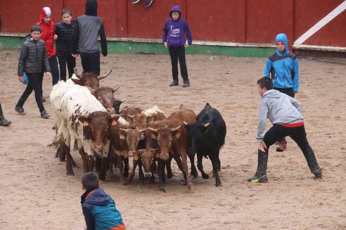 Txikienak zezen txikien aurr 40 1552240899753