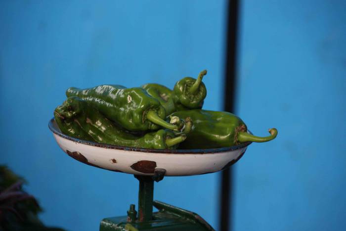 leaburu hamaikagarren azoka  14 1572184891497