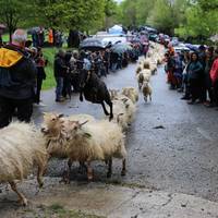Aralarko Larreak irekitzeko festa