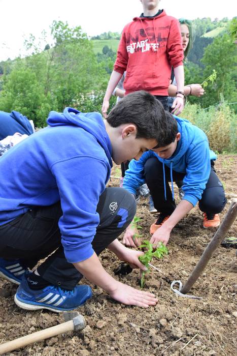 Piper landaketa uzturpe gureak  789 taldea 10 1464793770336