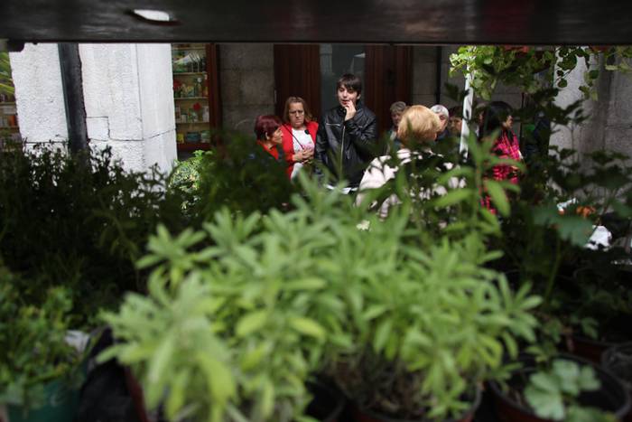 Eta liliek Tolosa ere amets 30 1495290371587