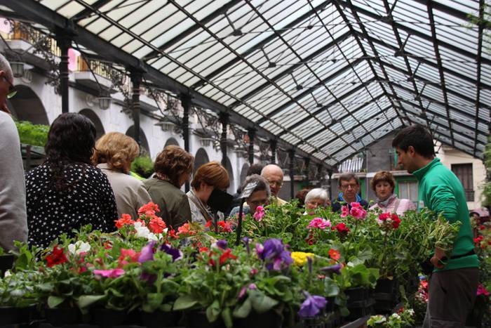 Eta liliek Tolosa ere amets 37 1495290414249