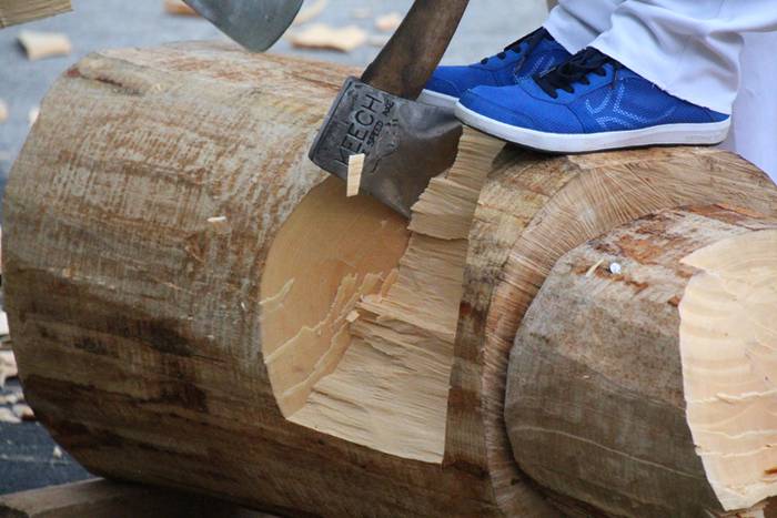 Euripean ere festa aurrera 31 1474824728692