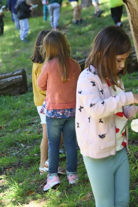 Elosegi parkeko biodibertsit 11 1559225131863