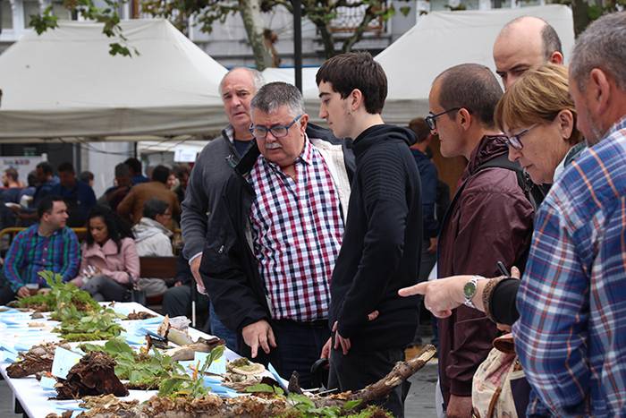 AZOKA MIKOLOGIKOA 2017 28 1508591663311