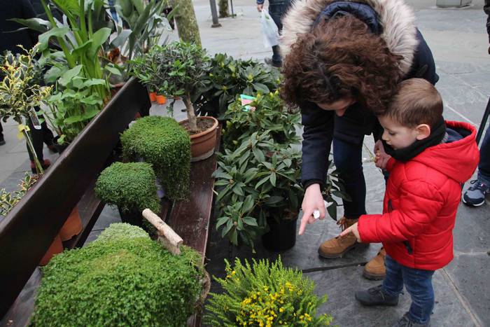 Erein eta zaintzearen magiak 22 1581165940821