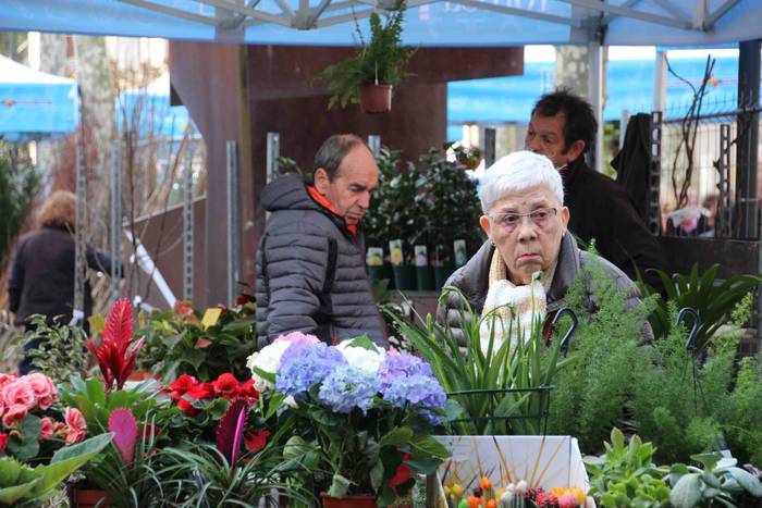 Tolosako Lore eta Landare Az 19 1549717200959