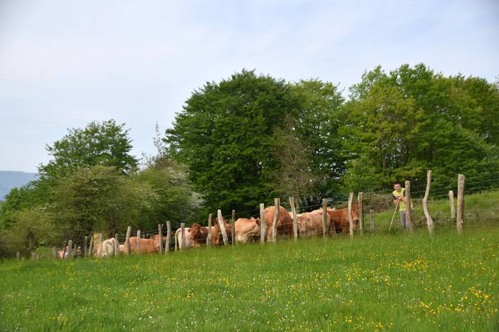 BERASTEG LARRE IREKIERA 2022 7 1652525076423