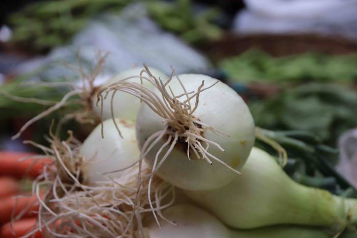 Lore eta Landare Azoka 2019 41 1558171916408