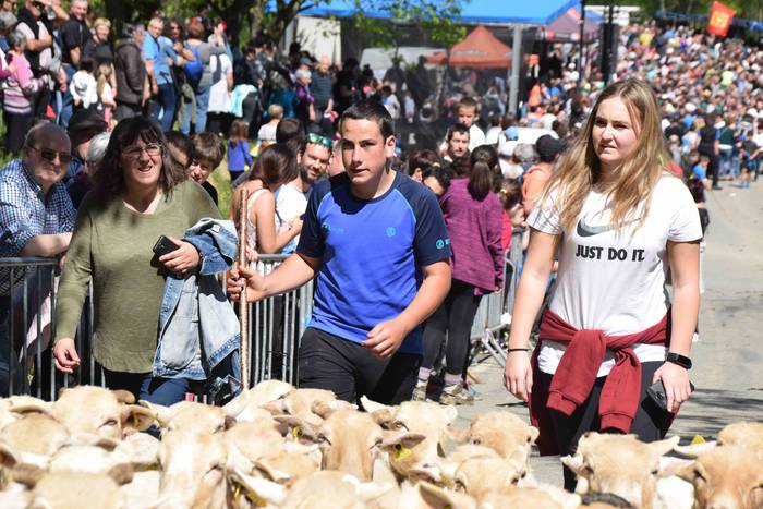 Larrerati dituzte abereak Ar 60 1556716332435