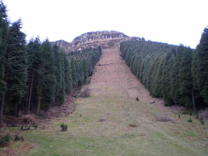 Aizkardikoak Bizkaiara 2 1554738344215