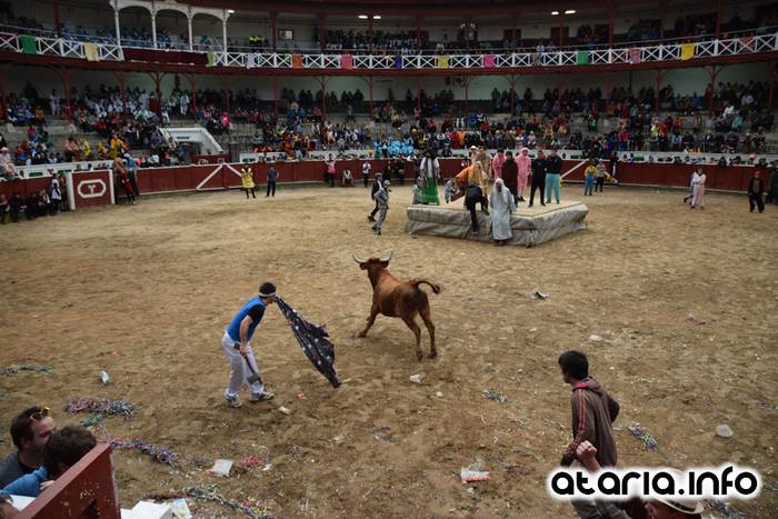 Pattar zezena 2016 62 1455012406778