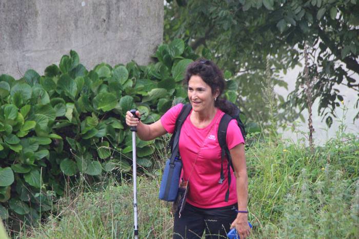 2016 bidea 4 1471775771418