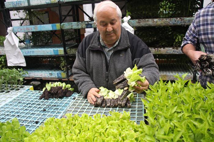 San Isidro Tolosan 2016 3 1463226509561