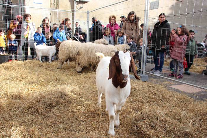 Gabonetako azokak jende asko 32 1576941762419