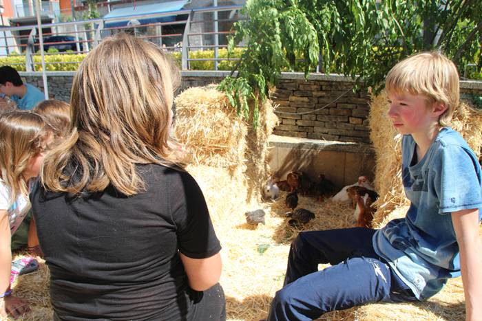 Udaberriko azoka Berrobin 1 1494770381556