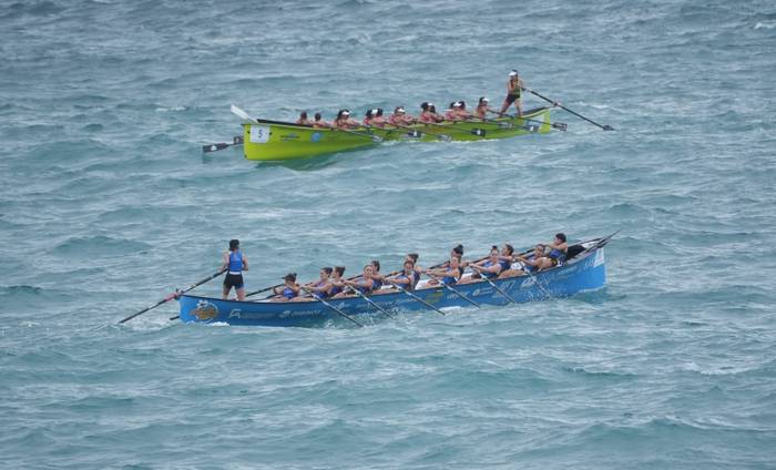 Tolosaldeak bete du tramitea