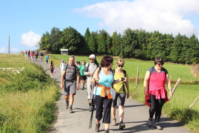 2016 bidea 29 1471775956566