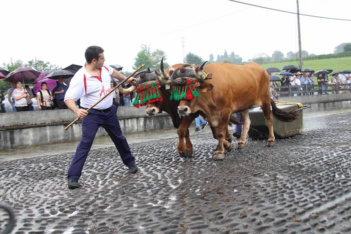 Zizurkil festak 2018 xiba et 29 1534452641885