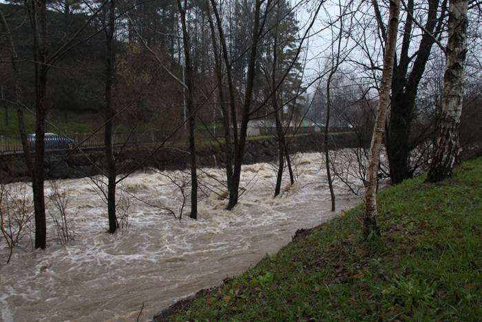 Astelehena, gainezka 1 1484560753480