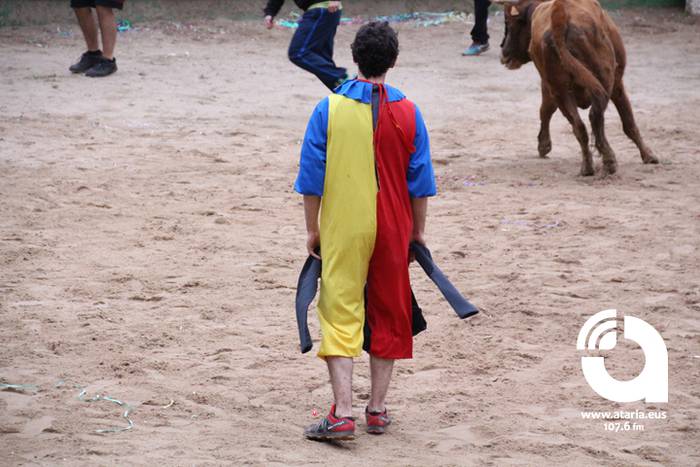 Zezenak adarrak okerrak ditu 53 1488277465090