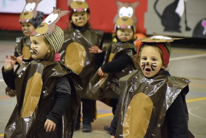 Irura, inauteriak 2018 14 1517997816179