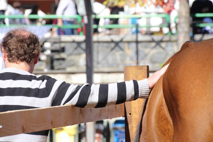 Lurraren zaindari direnen er 91 1507466616779