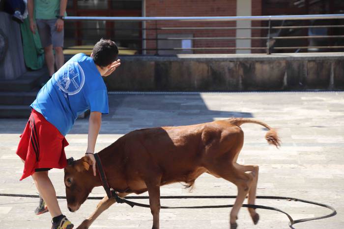 Festak hasteko, poniak eta z 56 1566994018322