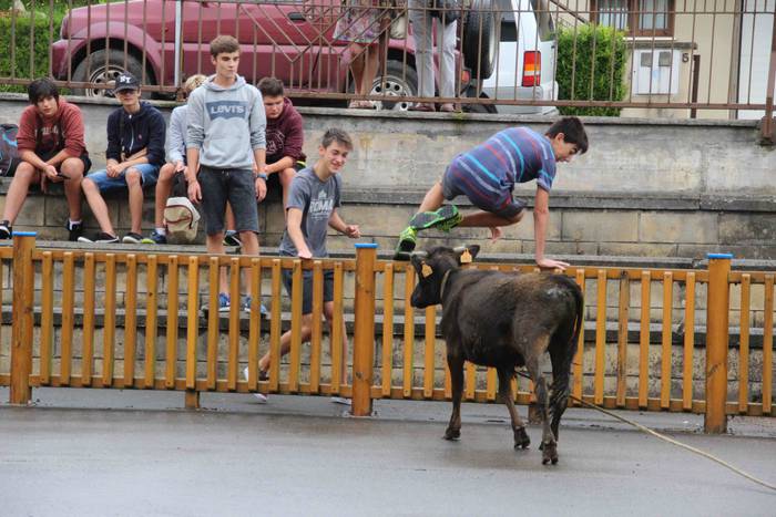 hernialde festak puzgarriak  37 1534160498303