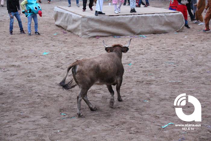 Zezenak adarrak okerrak ditu 6 1488277184789