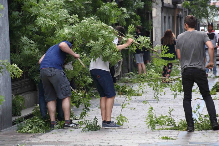 Berdez esnatzen da ekainaren 24a - 8