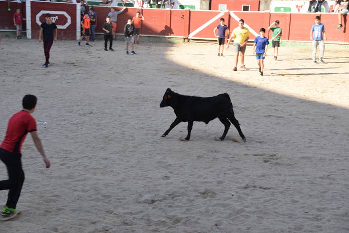 Berazubiko festak 2017, zeze 49 1507823028557