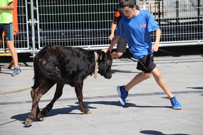 Gazteen festa egarriak ez du etenik 22 1472122553838