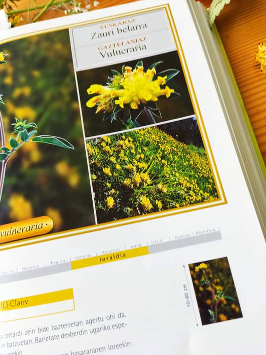 Sendabelar ikastaroa Urkizun 12 1652175194198