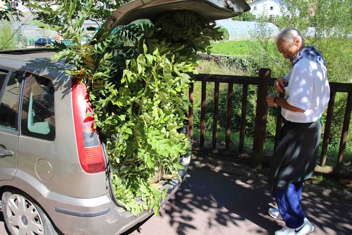 Ibarra San Bartolome jaiak 2 59 1535372492872