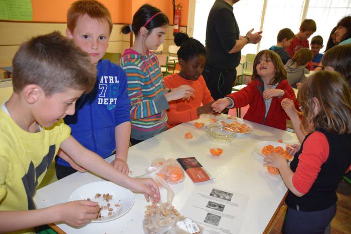 Lizartza eskolaren astea 2016 13 1461594737266