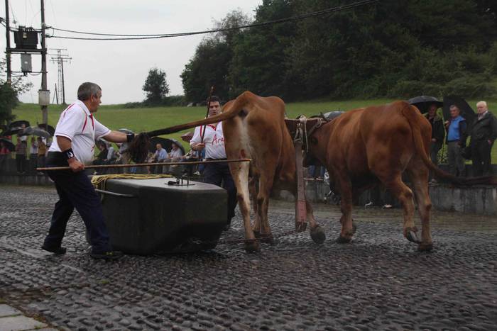 Zizurkil festak 2018 xiba et 35 1534452753501