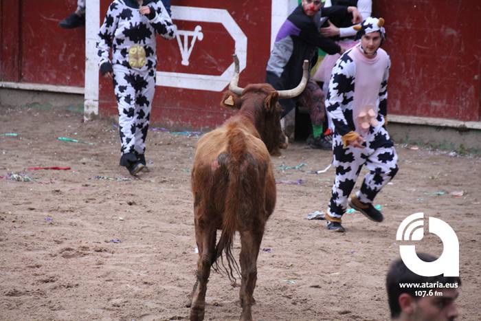 Zezenak adarrak okerrak ditu 55 1488277476717