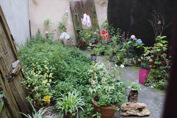 «Hoztu dezu herri guztia» 25 1592999458947