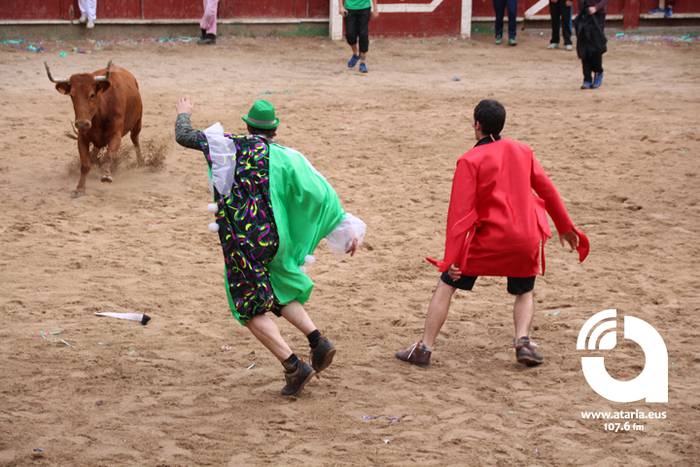 Zezenak adarrak okerrak ditu 108 1488277786582