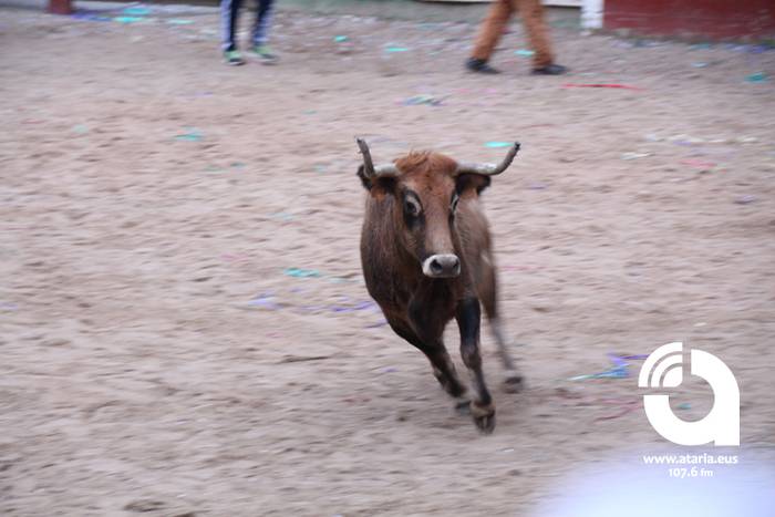 Zezenak adarrak okerrak ditu 4 1488277172980