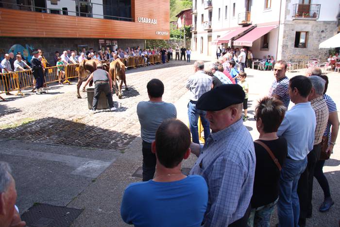 Idi erakustaldia Asteasuko p 20 1494859906384