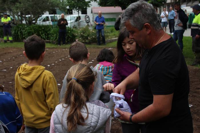 Aurtengoa, biolinak gozatua 27 1497265097936