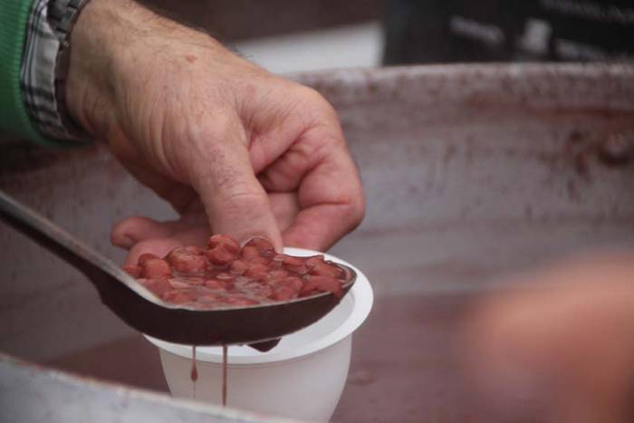 Tolosak Babarruna 39 1448111674815