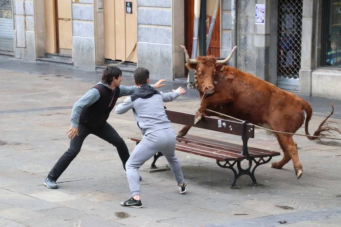 Zezenaren aurrean korrika 24 1551703684496